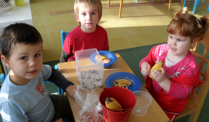 7. fotografia fotogalérie Obrázky zo života škôlkárov