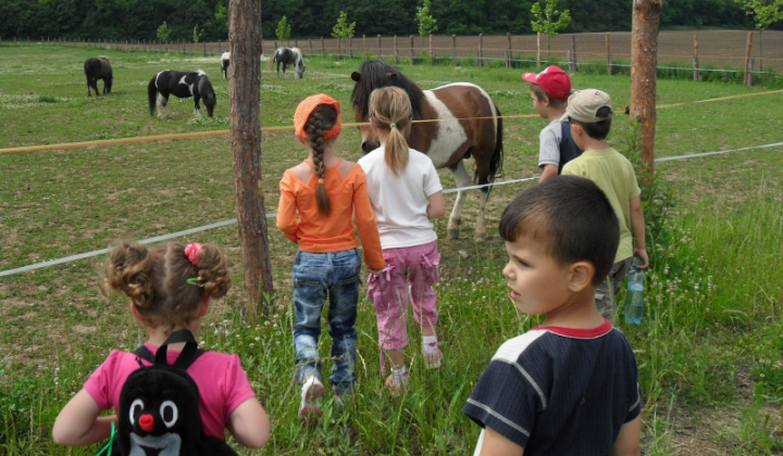 8. fotógaléria fotózás Deň detí 2011