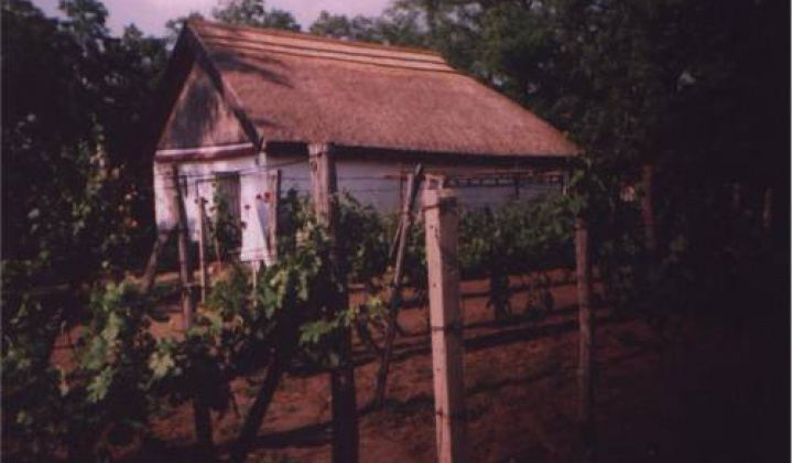 6. fotografia fotogalérie Podnikatelia / Trstinové strechy - foto