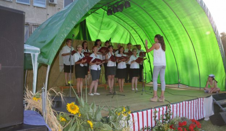 3. fotografia fotogalérie Organizácie / Spevácky zbor Reformovaného cirkevného spoločenstva v Novej Vieske - foto