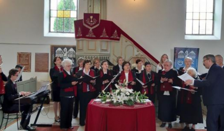 8. fotografia fotogalérie Organizácie / Spevácky zbor Reformovaného cirkevného spoločenstva v Novej Vieske - foto