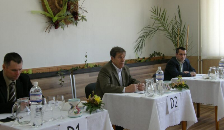 7. fotógaléria fotózás Organizácie / Spolok vinohradníkov - foto