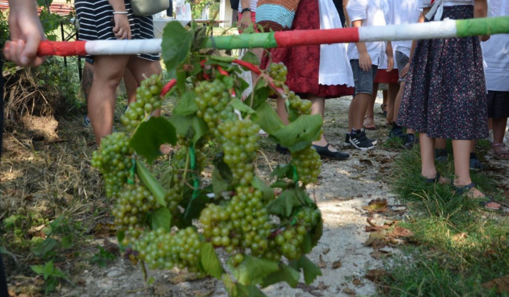 7. fotografia fotogalérie Deň otvorených pivníc a oberačkové slávnosti