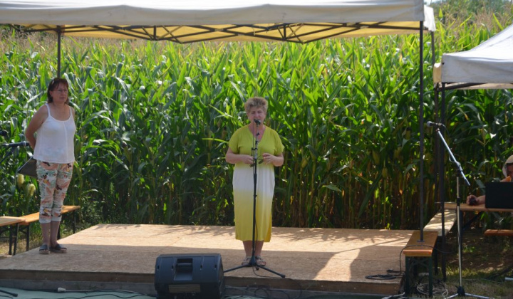 17. fotografia fotogalérie Deň otvorených pivníc a oberačkové slávnosti
