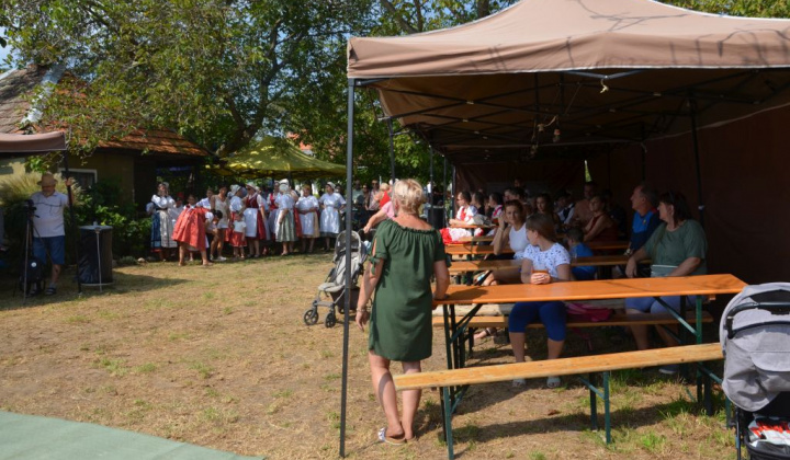 19. fotografia fotogalérie Deň otvorených pivníc a oberačkové slávnosti