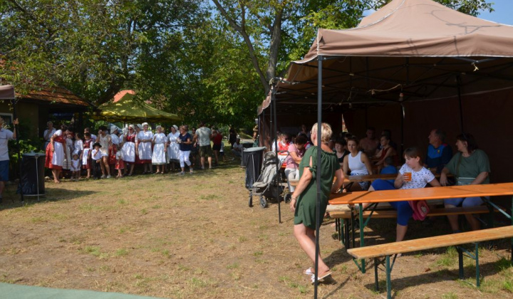 20. fotografia fotogalérie Deň otvorených pivníc a oberačkové slávnosti
