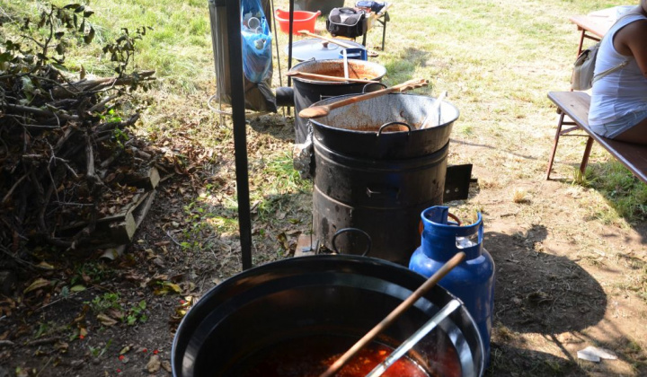 22. fotografia fotogalérie Deň otvorených pivníc a oberačkové slávnosti