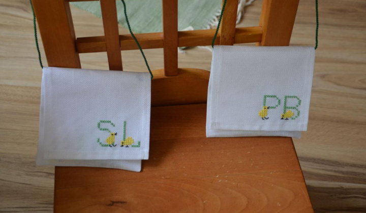 10. fotografia fotogalérie Rozlúčka so škôlkou