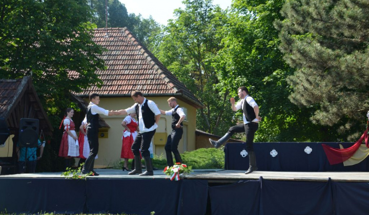 19. fotografia fotogalérie Tóthfalu - Srbrsko