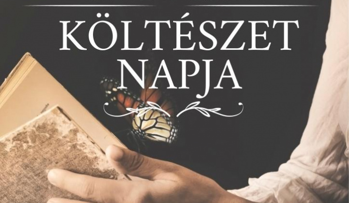 14. fotografia fotogalérie Deň maďarskej poézie