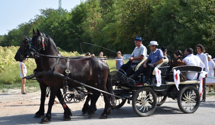 9. fotografia fotogalérie Oberačkové slávnosti