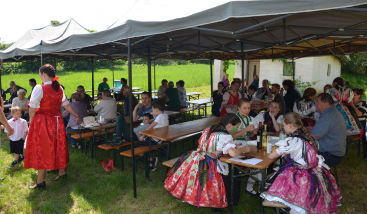 12. fotografia fotogalérie Deň otvorených pivníc