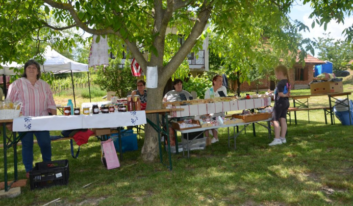 11. fotografia fotogalérie Deň otvorených pivníc