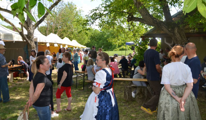 20. fotografia fotogalérie Deň otvorených pivníc