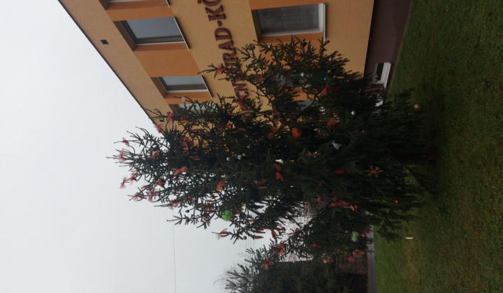 4. fotografia fotogalérie Vianočný trh miestnych výrobkov a Mikuláš