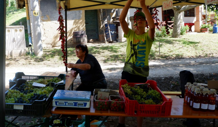 10. fotografia fotogalérie Deň otvorených pivníc a oberačkové slávnosti