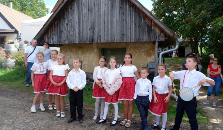 15. fotografia fotogalérie Deň otvorených pivníc a oberačkové slávnosti