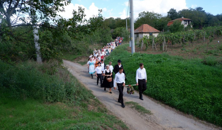 22. fotografia fotogalérie Deň otvorených pivníc a oberačkové slávnosti