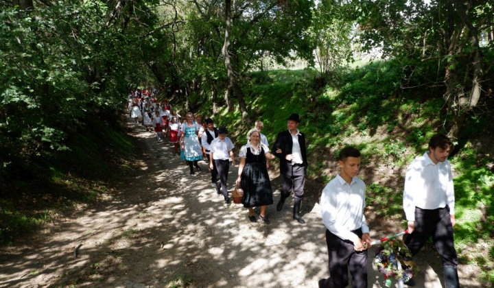 24. fotografia fotogalérie Deň otvorených pivníc a oberačkové slávnosti