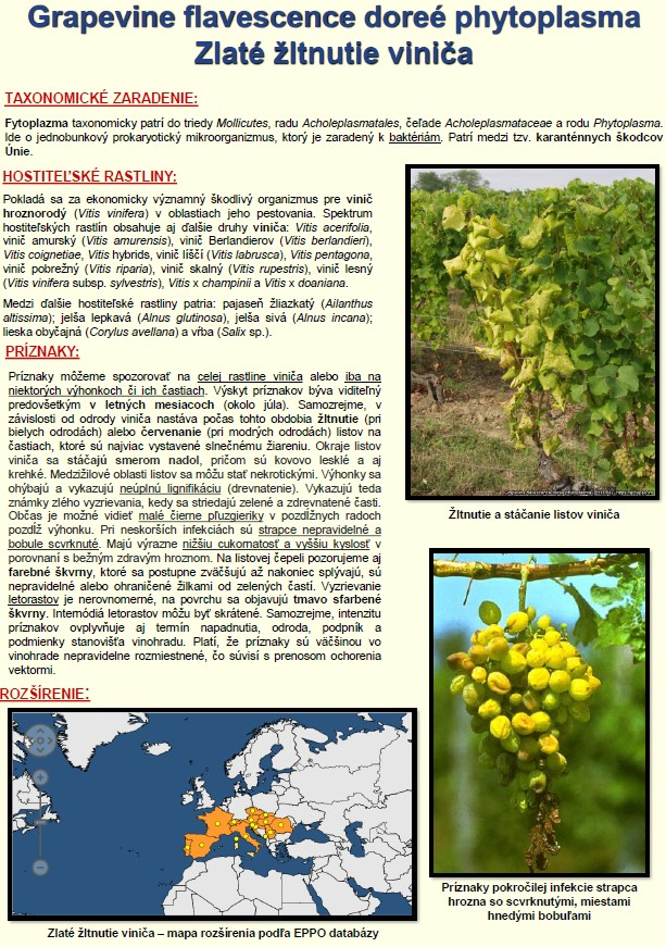 Fotka - nový článok