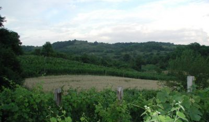 Fotka - Drieňová hora